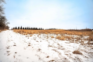XXX County Road 10, Pelican Lake Township, MN 56309