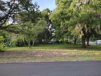 5501 E Live Oak Ln, Inverness, FL 34453