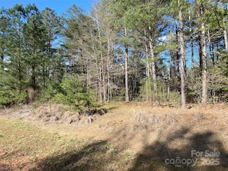 1156 Palomino Beach Ln, Connelly Springs, NC 28612