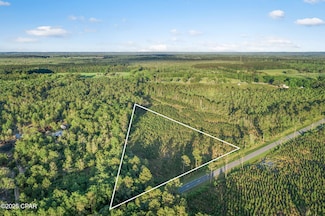 XXX Cr 177 Unit Lot 1, Bonifay, FL 32425