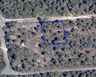 1092 Echinata St SW, Palm Bay, FL 32908