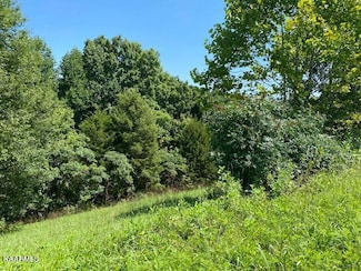 0 Lot 255 Marble Point Way Unit 1202249, New Tazewell, TN 37825