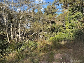 0 Washington 105 Unit NWM2449630, Grayland, WA 98547