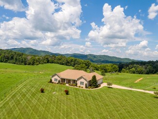 32 Spring Ln, Fall Branch, TN 37656