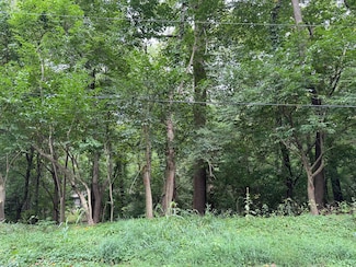 no number E Court Dr, Michiana, MI 49117