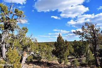 4367 Sunset Ridge Dr, Blue Ridge, AZ 86024