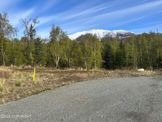 10130 N Resilience Cir, Fishhook, AK 99645