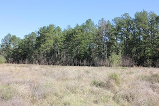 PID 11666 Highway 287, Corrigan, TX 75939