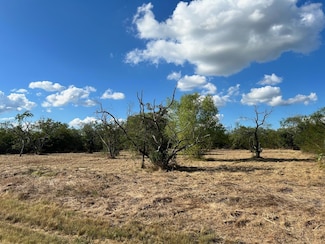 8073 Big Water Ln, Kemp, TX 75143