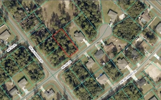 Lot 44 SW 162nd Ln, Ocala, FL 34473