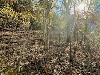 000 Jj Hwy, Thornfield, MO 65762