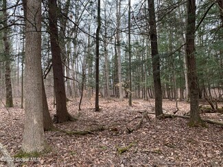 1372 Logtown Rd, Sprakers, NY 12166