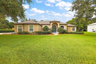 27425 Hammock View Ct, Yalaha, FL 34797