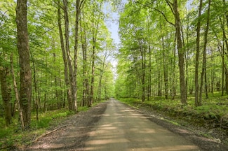 L22.22 Mud Rd, Laurens, NY 13825