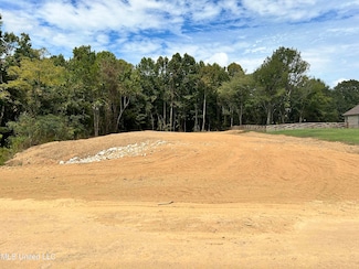 86 Pebble Ridge Dr, Byhalia, MS 38611
