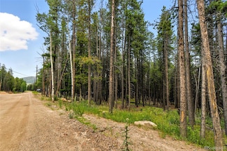 0 Aspen Way, Brook Forest, CO 80439