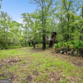 0 Roberson Rd Unit 10420763, Hortense, GA 31543