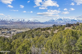2714 E La Sal Peak Dr, Heber City, UT 84032