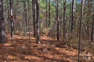 0 Bitterroot Cir Unit 224 CAR3897969, Rutherfordton, NC 28139