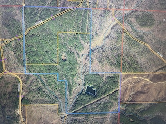 0 Cr 335, Rienzi, MS 38865