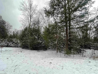 Lot 86 Gondola Ct, Davis, WV 26260