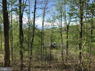 106A Mcdonalds Farm Rd, Linden, VA 22642