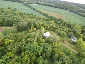 9 Tanglefoot Farms Rd, Festus, MO 63028