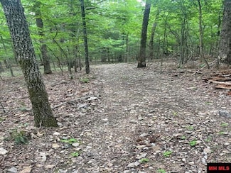 170 Beltline Rd, Bull Shoals, AR 72619