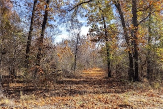 TRACT 1 SE 575, Locust Grove, OK 74352