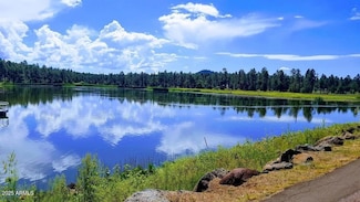 1986 S Woodland Ln Unit Lot 43, Ptp Est, Pinetop, AZ 85935