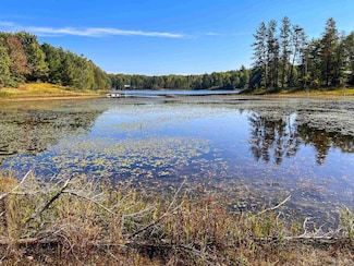 TBD E Martin Lake Rd, Forsyth Township, MI 49885
