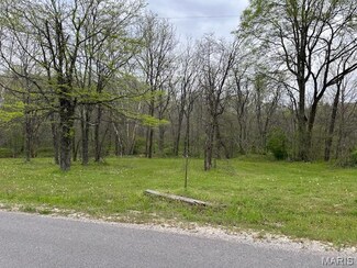 101 County Road 389, Liberty Township, MO 63785