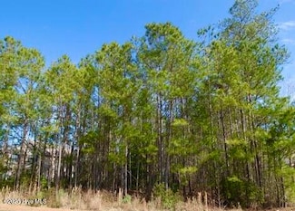 111 Marie Ct, Havelock, NC 28532