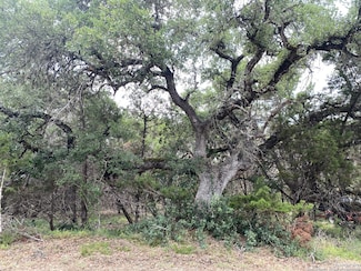 303 Windy Hill Dr, Canyon Lake, TX 78070
