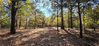 6 Acres N Broad St, Cowarts, AL 36321