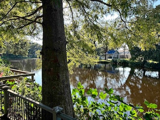 17129 Willow Oak Alley, Prairieville, LA 70769