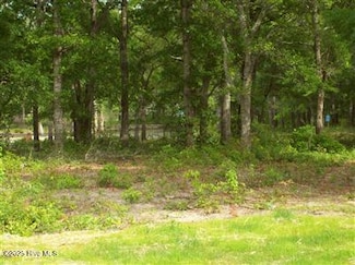 1943 Redfish SW, Supply, NC 28462
