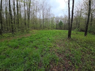 120 Fuller Road Lot Unit WP002, Triangle, NY 13778
