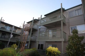 397 Imperial Way Unit 343, Daly City, CA 94015