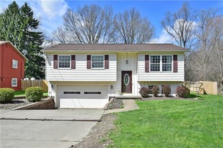 1315 Niles Cortland Rd NE, Warren, OH 44484