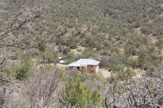 218 White Oaks Canyon Rd, Carrizozo, NM 88301