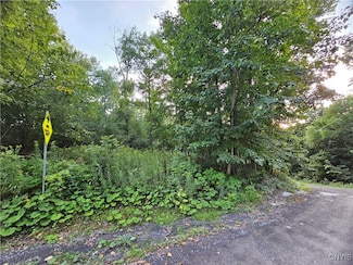 0 Old State Rd, Herrings, NY 13619