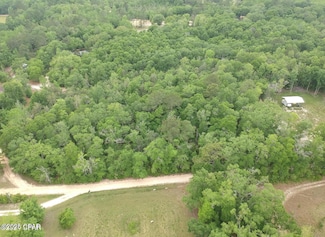 6.67 AC Goat Forehand Ln, Bonifay, FL 32425