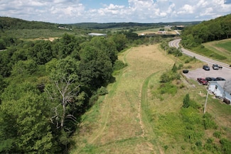 TBD Cuzzart Rd, Bruceton Mills, WV 26525