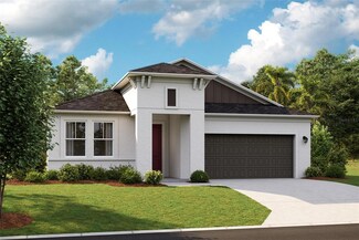 14453 Meadow Bird Ave, Riverview, FL 33579