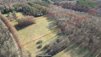 Lot 4 & Lot 5 Goddards Rd, New Lisbon, NY 13810