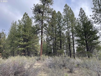 0 S Waterview Way Unit 5 23095010, Chiloquin, OR 97624