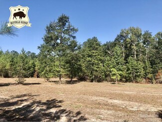 Lot 2 BS Buffalo Ridge Rd, Pace, FL 32571