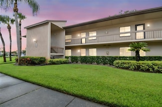 204 Mary Dr, Oldsmar, FL 34677