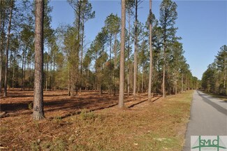 0 Bulloch Bluff Dr Unit Lot 5 170975, Brooklet, GA 30415